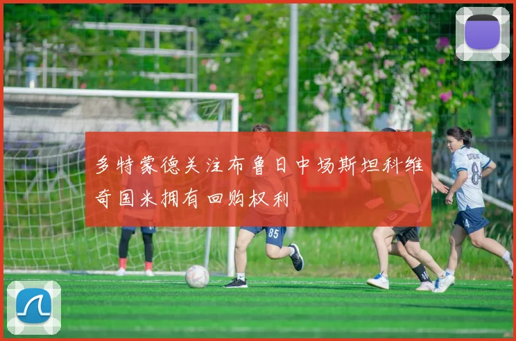 多特蒙德关注布鲁日中场斯坦科维奇国米拥有回购权利