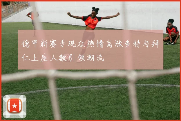 德甲新赛季观众热情高涨多特与拜仁上座人数引领潮流