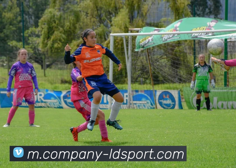 App Interface Preview